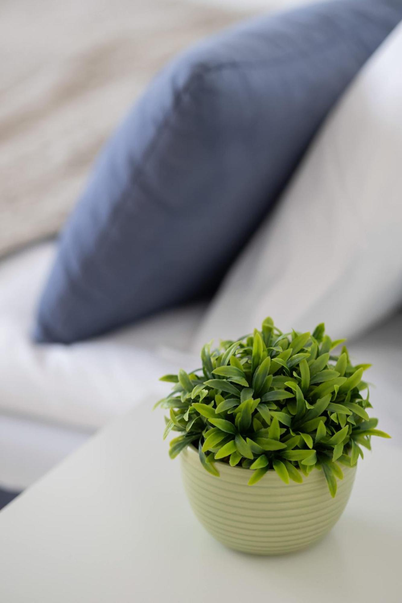 Jasny Z Dwoma Sypialniami I Biurkiem By Renters